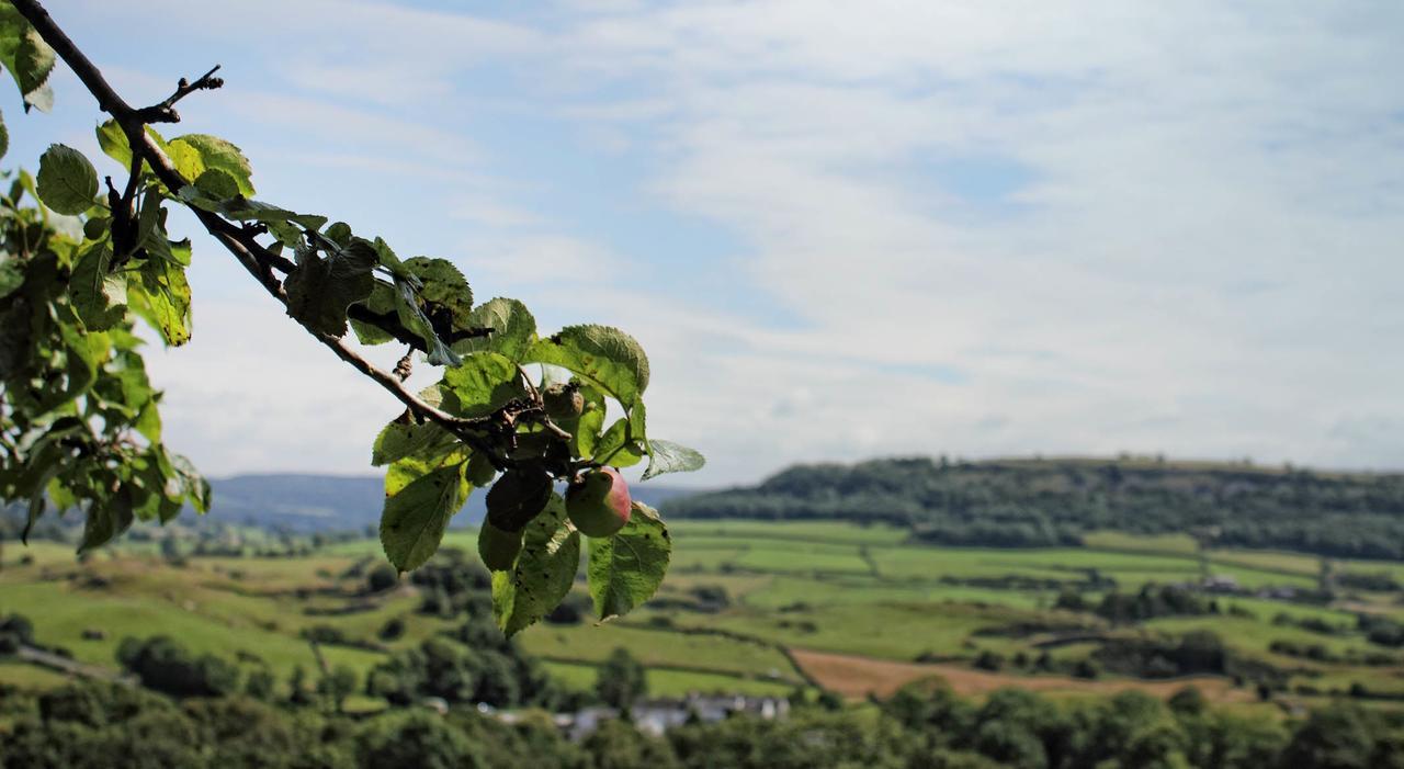 Mason'S Arms Hotel Bowland Bridge Luaran gambar