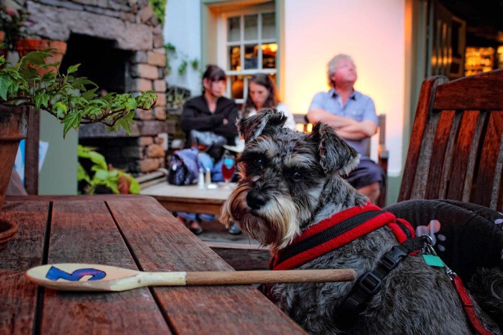 Mason'S Arms Hotel Bowland Bridge Luaran gambar